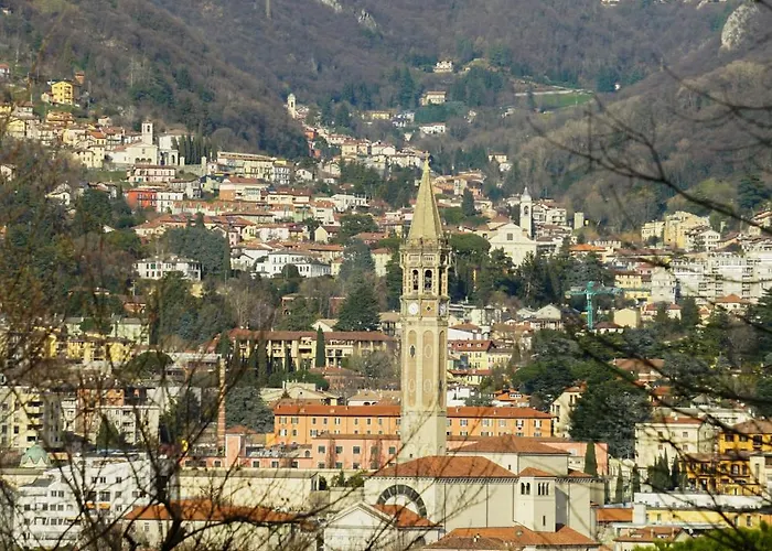 Colli