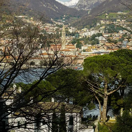 Colli Daire *